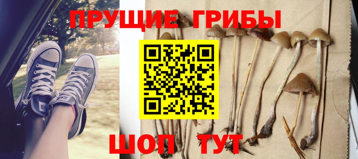 Анжеро-Судженск  Псилоцибиновые грибы MAGIC MUSHROOMS  Вход с VPN 
