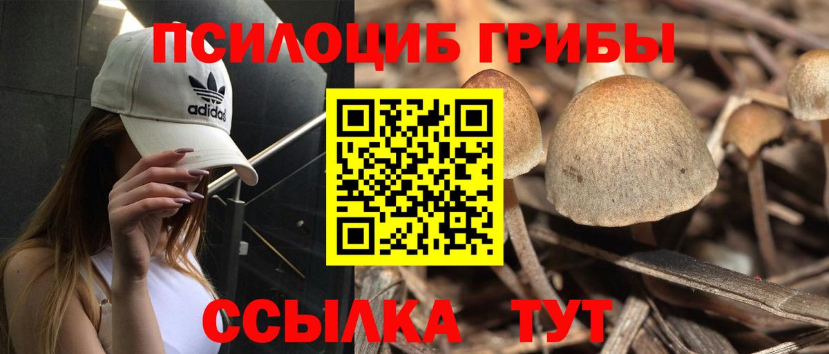 Псилоцибиновые грибы мицелий Анжеро-Судженск