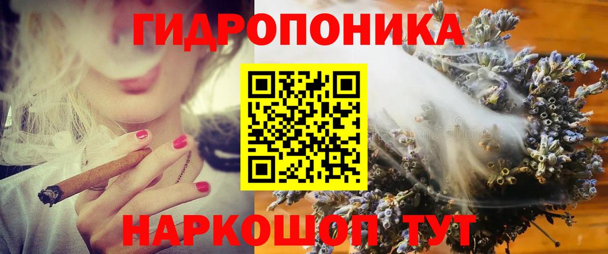 МАРИХУАНА сатива Анжеро-Судженск